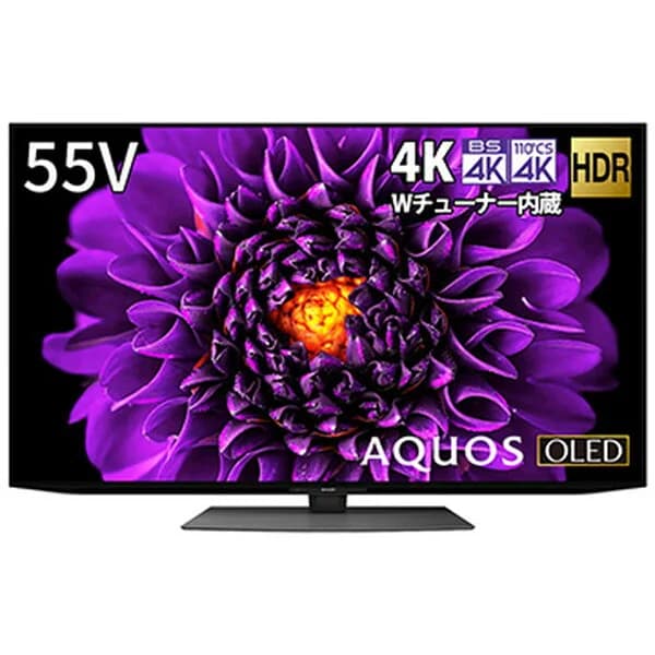 SHARP シャープ AQUOS アクオス 55型 4K対応 有機ELテレビ DS1 高輝度 倍速 YouTube Netflix 回転式スタンド 【配送のみ 設置なし軒先渡し】 4TC-55DS1_t