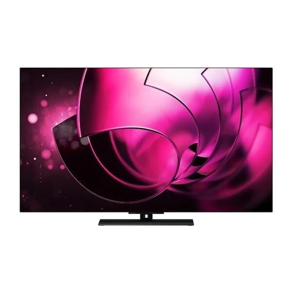 TVS REGZA 48X8900R REGZA 48V型 地上・BS・110度CSデジタル 4Kチューナー内蔵 有機ELテレビ