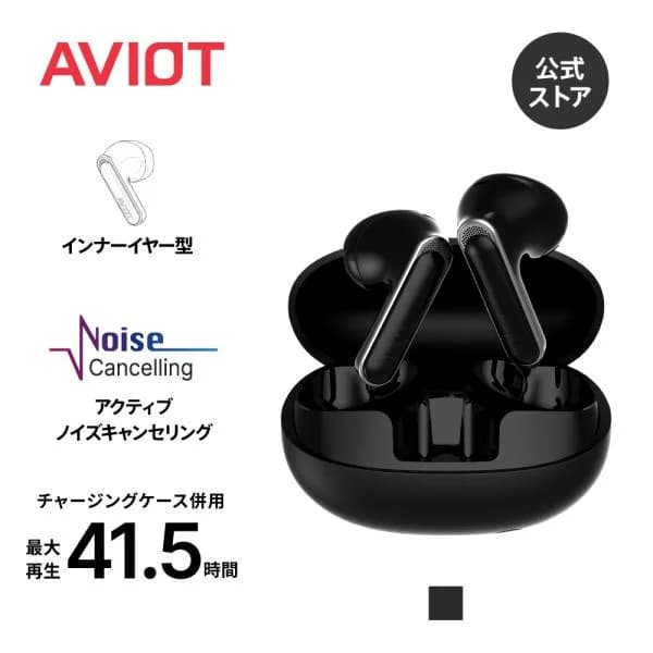 ワイヤレスイヤホン AVIOT TE-Y1 インナーイヤー型 完全 Bluetooth 5.3 最大41.5時間再生 ノイズキャンセリング 薄型 ワイヤレス充電 防水 外音取込