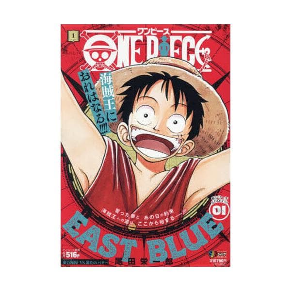 ONE PIECE 1