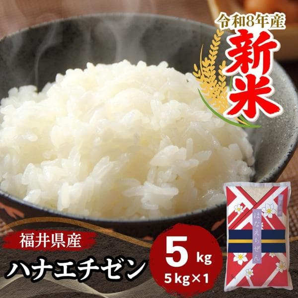 新米 ハナエチゼン 5kg 福井県産 白米 令和8年産 送料無料