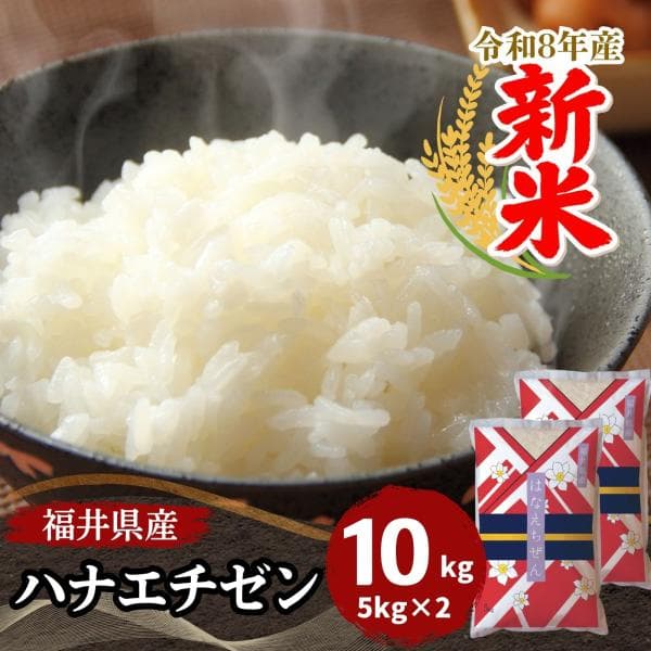 新米 ハナエチゼン 10kg 5kg×2袋  白米 福井県産 令和8年産 送料無料