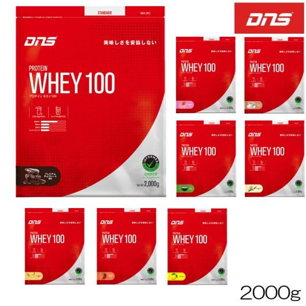 DNS ディーエヌエス プロテインホエイ100 PROTEIN WHEY100 2000g 2kg 筋トレ トレーニング たんぱく質 DNS883-2000