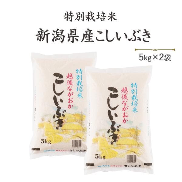新米　令和８年産　10kg 新潟県産こしいぶき  白米 特別栽培米 5kg×2袋 送料無料(一部地域を除く) コシイブキ