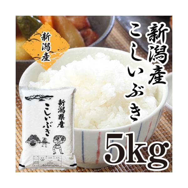 【新米予約】米 5kg 新潟県産 こしいぶき 5キロ 送料無料 令和8年産 新潟産 お米 白米 精米 美味しいお米 おいしいお米 単一原料 直送 産直 美味しいお米