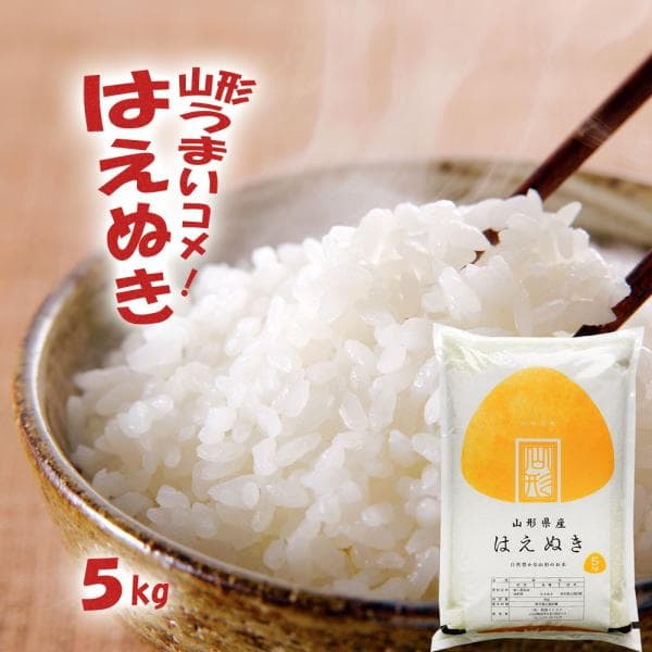 令和7年 お米 5kg (無洗米/白米/玄米) 山形県産 はえぬき