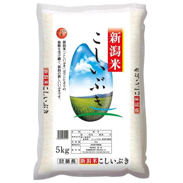 【新米】新潟県産 こしいぶき 5kg 【精白米】 令和8年産 米 お米
