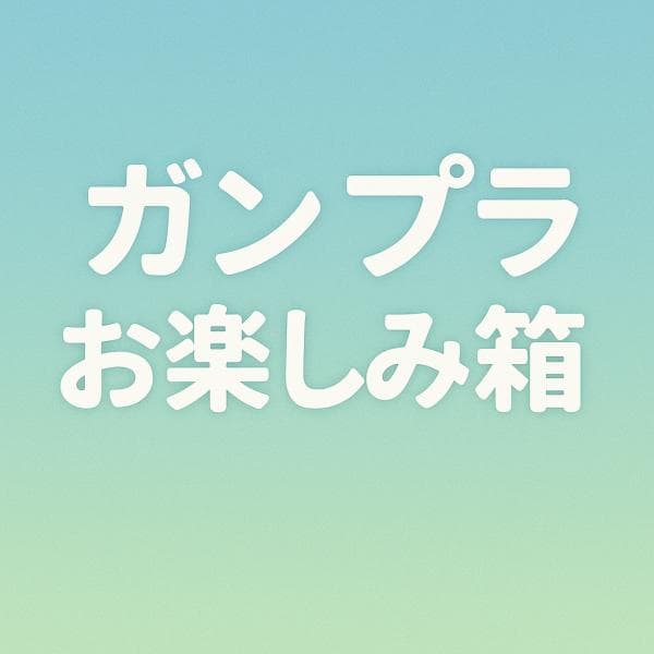 ガンプラお楽しみ箱 １
