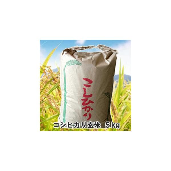 令和8年産 コシヒカリ 玄米 5kg 新米 三重県産 米 お米 コメ 5キロ 小袋 小分け こしひかり