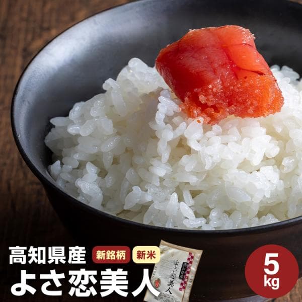 令和8年産 新米 新品種 高知県産よさ恋美人 5kg 送料無料 精米 白米 美味しいお米 2026年産 お中元