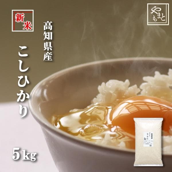 お米 新米 令和8年 高知県産こしひかり5kg（5kg×1袋） コシヒカリ 北海道沖縄離島は追加送料