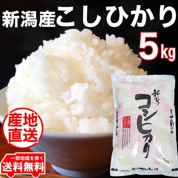 新米 令和8年産 精米したて 新潟県産 コシヒカリ 5kg 食味分析80点以上 五ツ星お米マイスター厳選米 白米 新潟 お米 単一原料米 5キロ 産地直送 爆買
